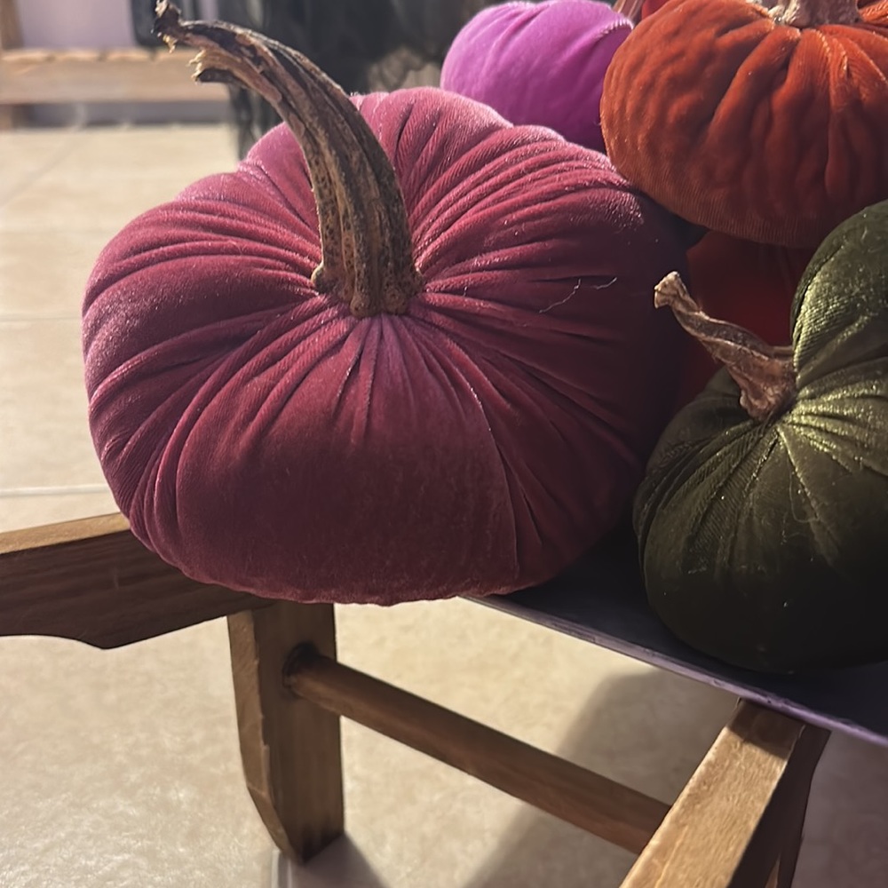 Velvet Pumpkins. - Picture 8 of 13